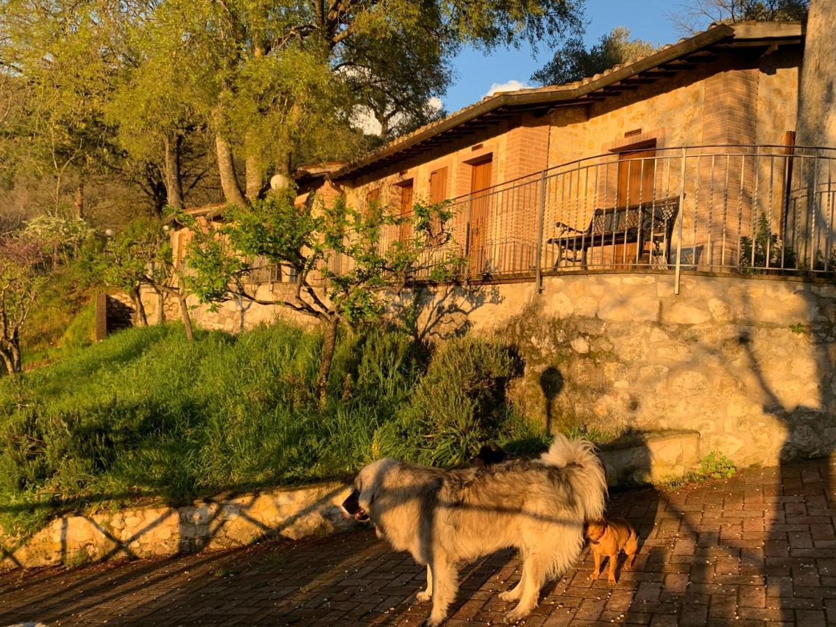 Setterhouseagrihotel Trevi Exterior foto