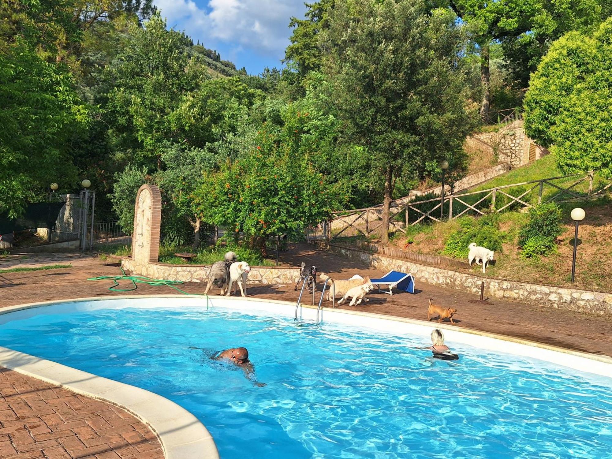 Setterhouseagrihotel Trevi Exterior foto